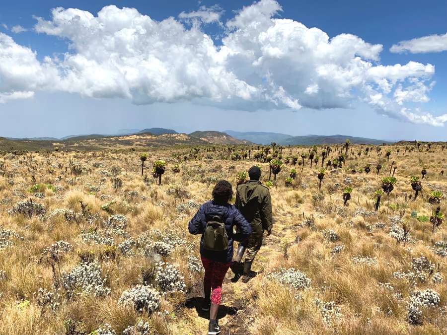 hiking rwenzori 