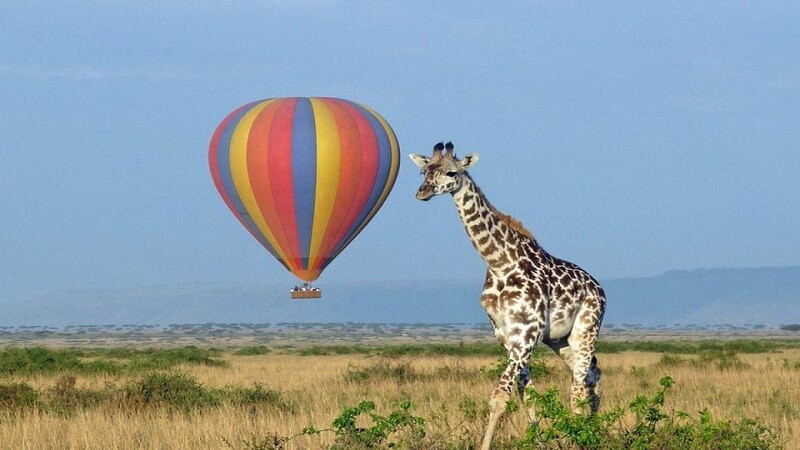 hot air baloon