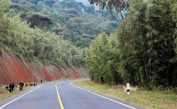 driving to Bwindi impenetrable national park