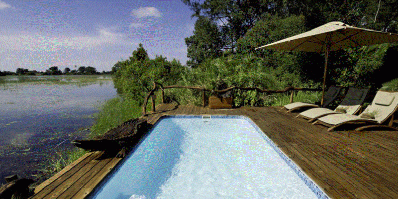 jacana safari lodge
