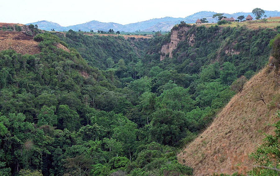 kyambura gorge lodge