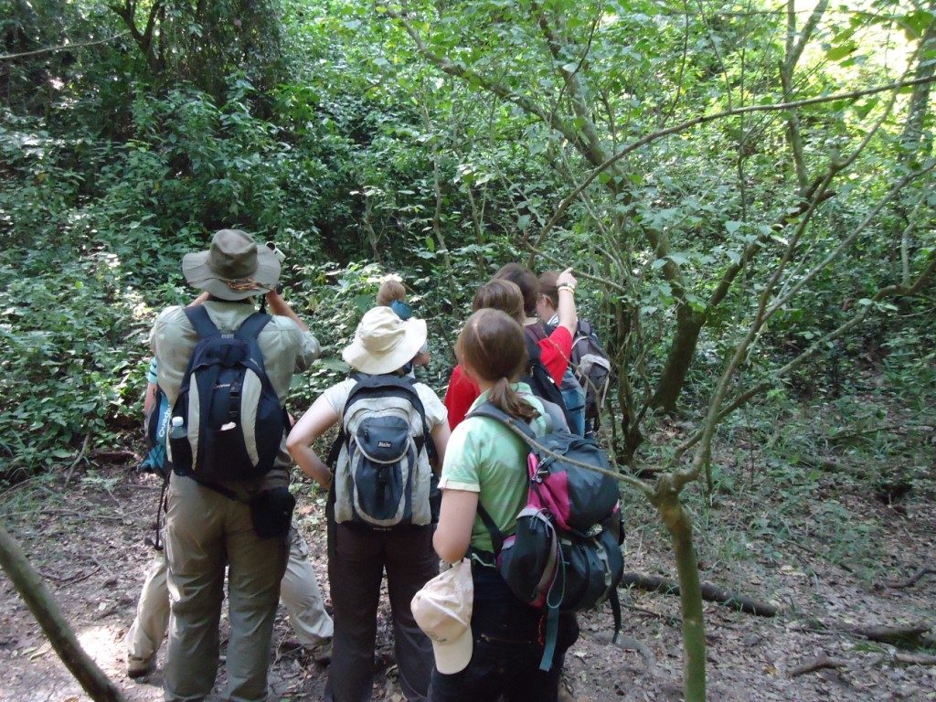 maramagoambo forest nature walks
