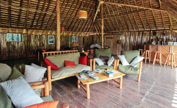 3 Way gorilla resort.
