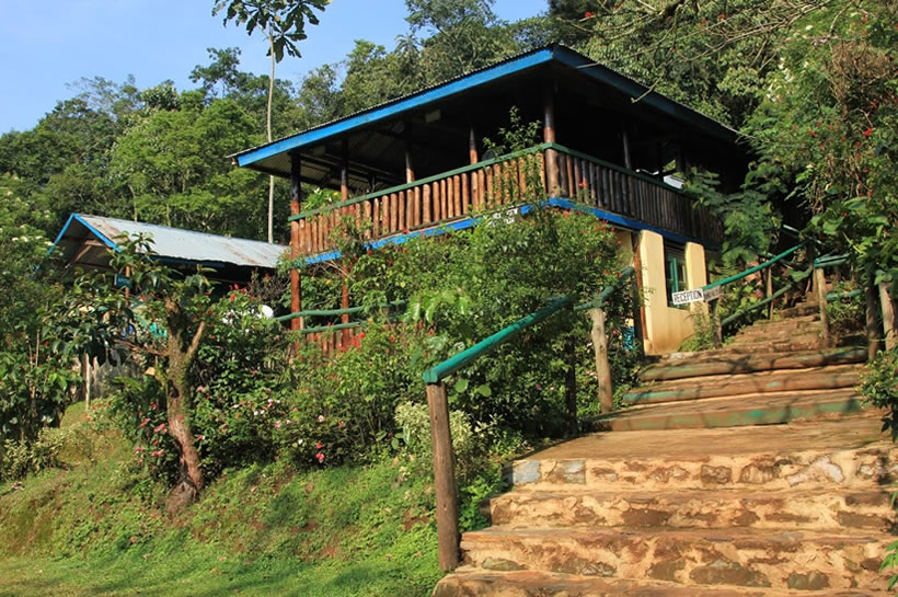Bwindi view bandas