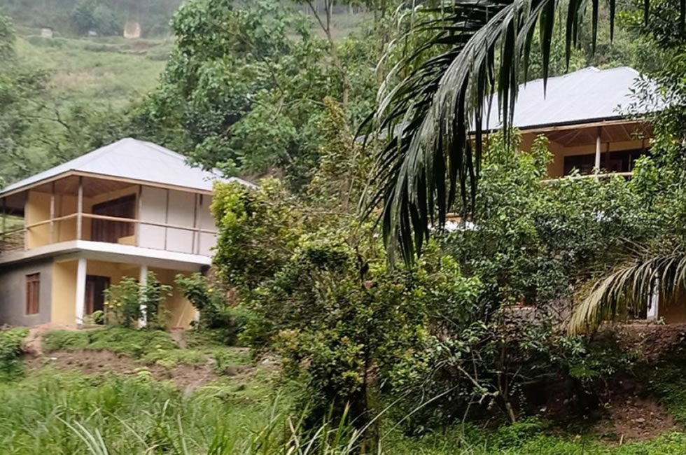 Nshongi  gorilla lodge
