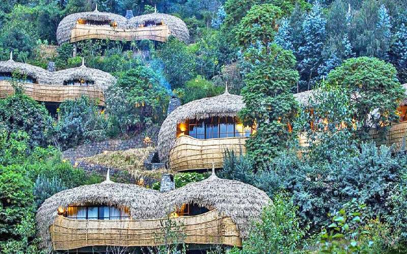 Bisate lodge.