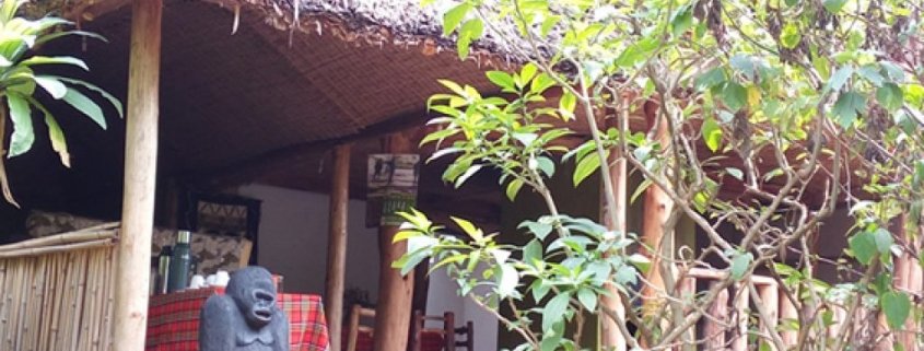 Bwindi view Bandas 