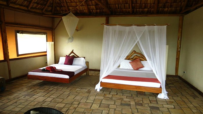 enganzi game  lodge
