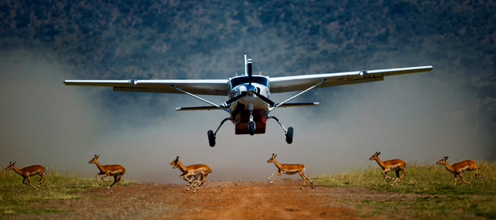 kidepo valley national park 