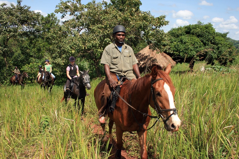 source of the nile horse ride