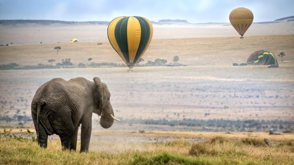 hotair baloons safaris 