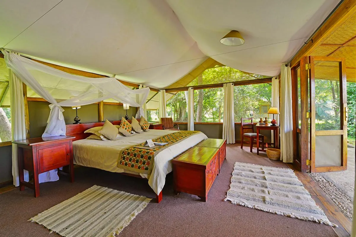 ishasha wilderness camp 