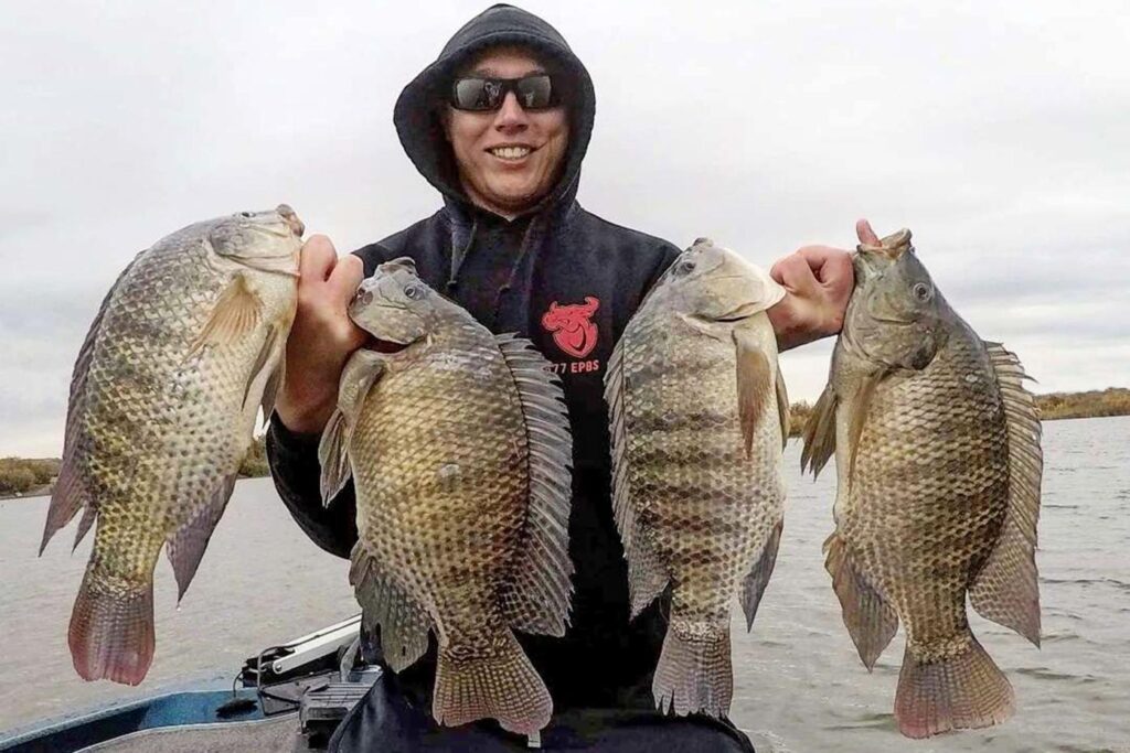 lake victoria fishing 