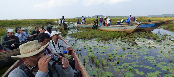mabamba wetland 