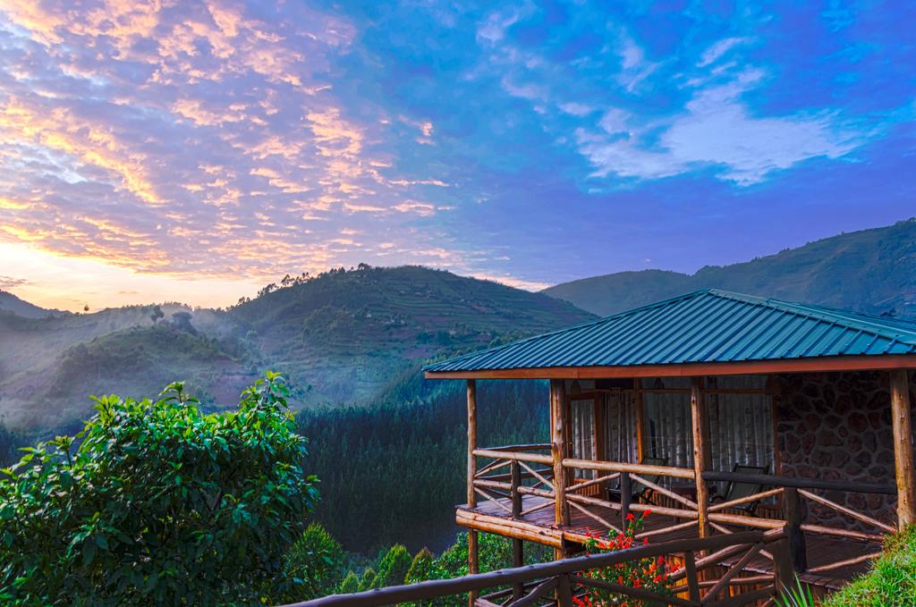 rushaga gorilla haven lodge