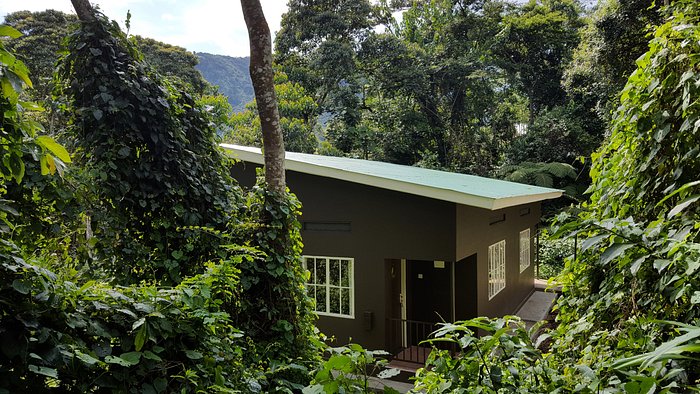 Bwindi Guest House.