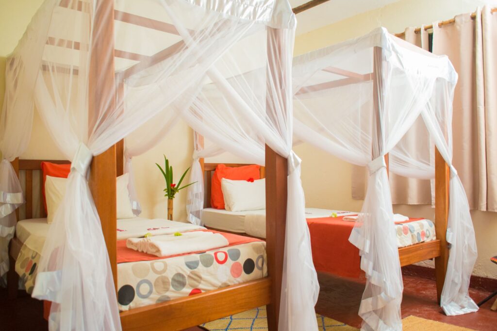 Gorilla valley lodge.