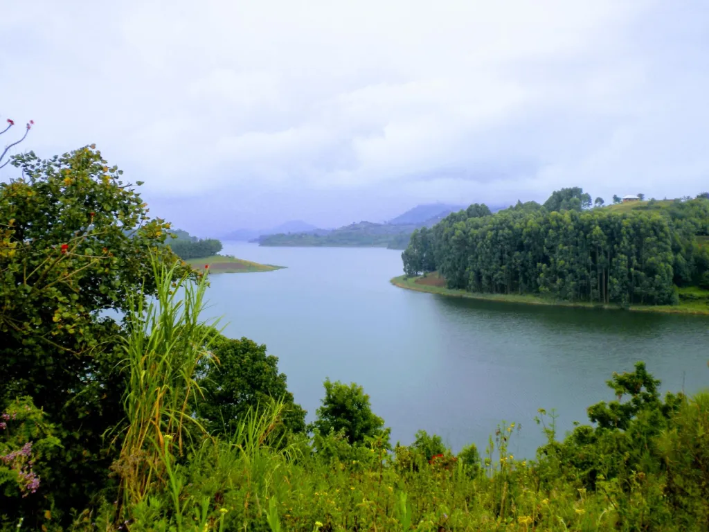 bunyonyi
