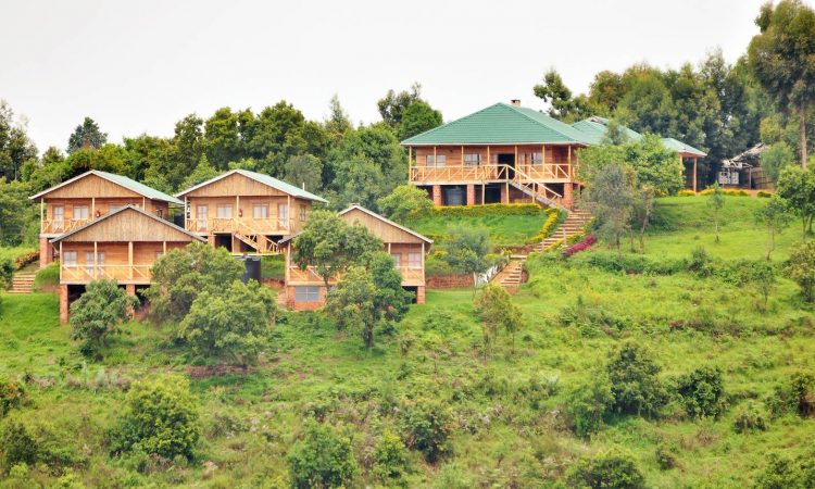 Ruhija Gorilla Safari Lodge.