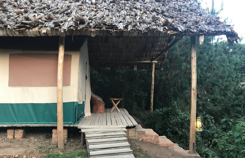 broadbill forest camp