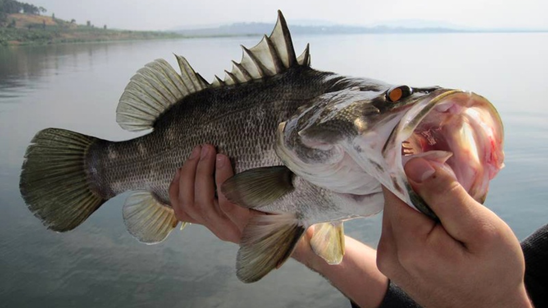 sport fishing in jinja