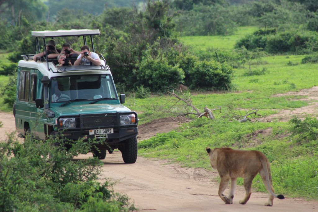game drives in Murchison falls natiional park