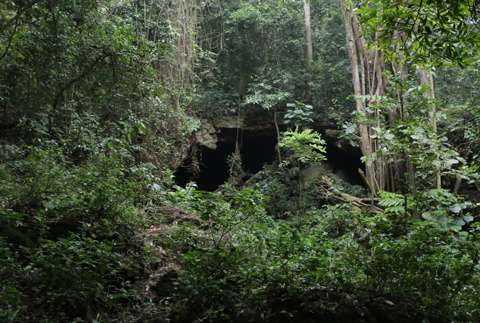 🌋 Mgahinga Gorilla National Park