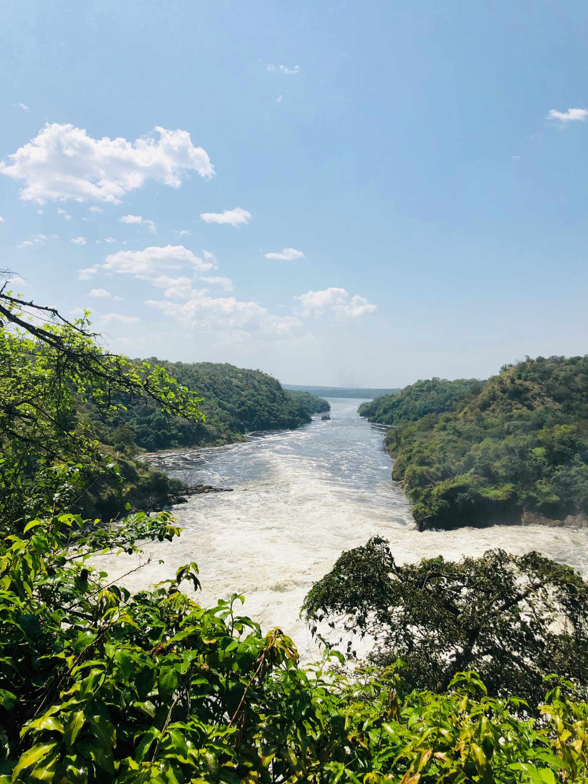 🌊 Murchison Falls National Park